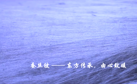 丝源_蚕丝被