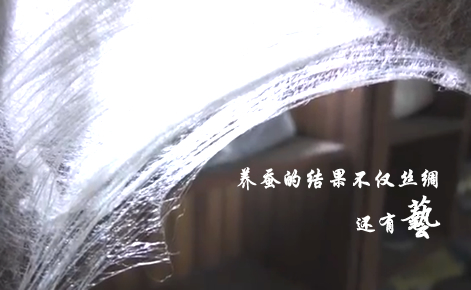 丝源_蚕丝艺术